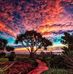 Vicki Walker - Facebook