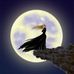 Vicki Wall - Facebook