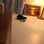 Vicki Wallace - @vicki.wallace.5249 - Instagram