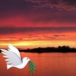 Vicki Waters - @vickiwaters5651 - Instagram
