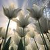 Vicki Waters - Facebook