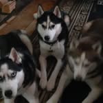Vicki Waters - @vicki.waters.129 - Instagram