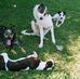 Vicki Webb - Facebook