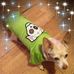 Vicki Webb - Facebook