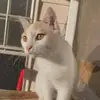 vickieweeks4 - @vickieweeks4 - TikTok