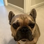 Vicki Welsh - @gsvdpw - Instagram