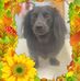 Vicki Whaley - Facebook