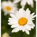Vicki Wilkinson - Facebook