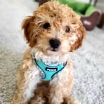Vicki Wilkinson - @vicki.wilkinson.771 - Instagram