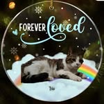 Vicki Wilkinson - @lil_minx1979 - Instagram