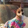 Vicki Wise - @vicki.wise74 - TikTok