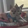 vickiwise - @vickiwise - TikTok