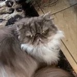 Vicki Witt - @witt6343 - Instagram