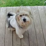 Vicki Wright - @vicki.wright.54540 - Instagram