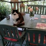 Vicki Wright - @vicki.wright.10004 - Instagram