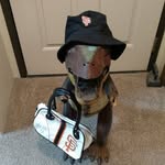 Vickie Akers - @littlemetaldinosaur - Instagram