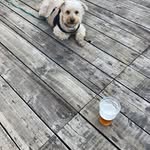 Vicki Asher - @tresoloevennj - Instagram