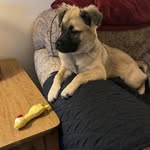 Vickie Ashley - @vashley1959 - Instagram