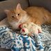 Vickie Basham - Facebook