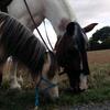 vicki.becker - @vicki.becker - TikTok