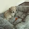vickie_bee - @vickie_bee2 - TikTok