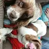 Vicki breen - @vic.b2017 - TikTok
