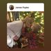 Vickie Bryan Popke - Facebook