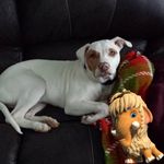 Vickie Burch - @vickieburch - Instagram