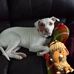 Vickie Burch - Facebook