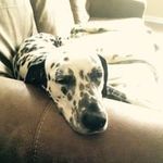 Vickie Pettigrew Burch - @vicjo1220 - Instagram