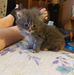 Vickie Buttram - Facebook