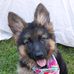 Vickie Sue Buzzard - Facebook