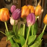 Vickie Carroll - @vickiecarroll443 - Instagram