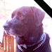 Vickie Carroll - Facebook