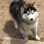 Vickie Case - @vickie_case - Instagram