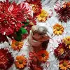 Vickie Chamness - @vickie.chamness - TikTok