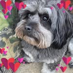 Vicki Christopher Brown - @vlbtown - Instagram