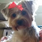 Vickie Collins - Facebook