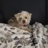 vickieconnours - @vickieconnours - TikTok