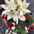 Vickie Copeland - Facebook