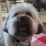 Vickie Copeland - @vvllcc - Instagram