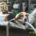Vicki Culpepper - Facebook