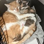 Vicki Dodge - @vicki.dodge.58 - Instagram