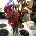 Vicki Dodson - Facebook