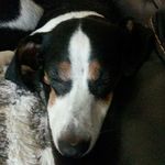 vickie - @vickie.dodson02 - Instagram