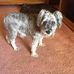 Vickie Stewart-Downey - Facebook