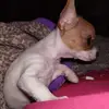 Vickie Dupre - @vickie.dupre - TikTok