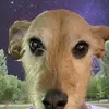 vickiedyer403 - @vickiedyer403 - TikTok