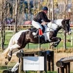 Vicki Eason - @vicki71662 - Instagram
