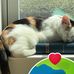 Vickie Eason Prestera - Facebook